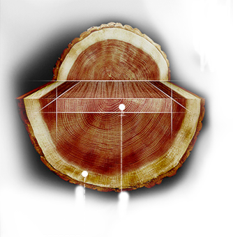 yd2333ƶϷϷ(й)޹˾